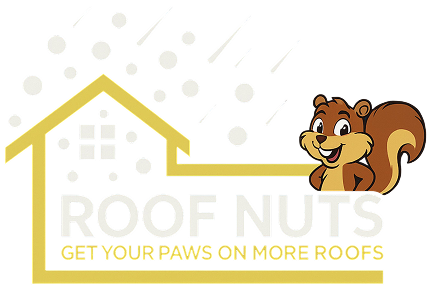 Roof Nuts